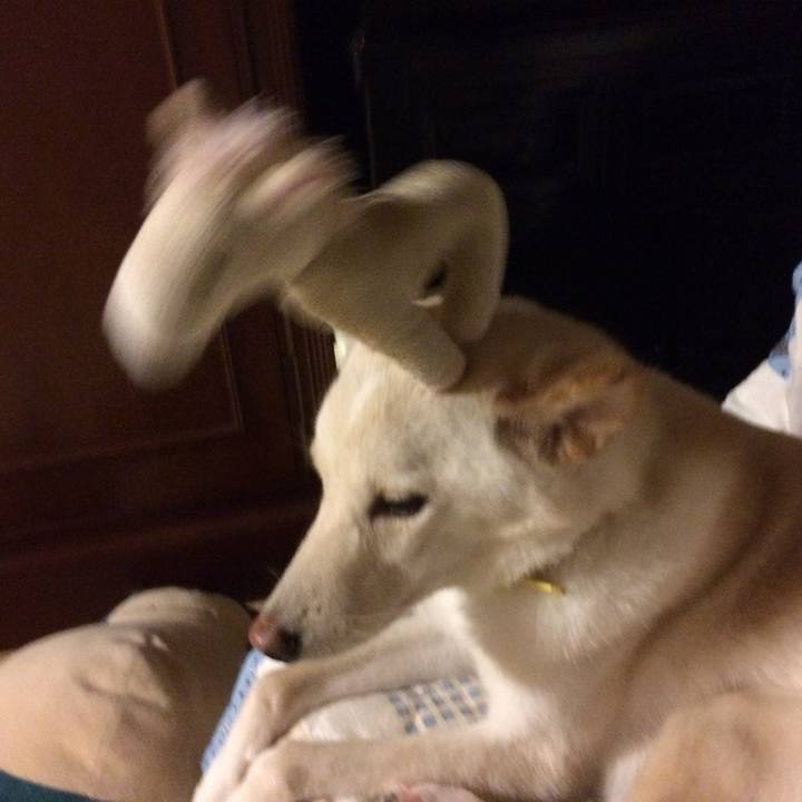 988047dc a6c2 4291 ad18 51bc9ef72b5d