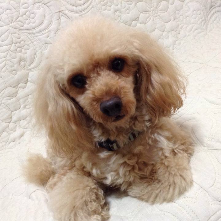 98804c37 0b3b 4a1e 8284 3c267c059edf