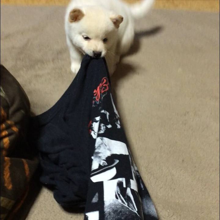 98835e75 ab1d 4b50 b755 3c879bd38d27