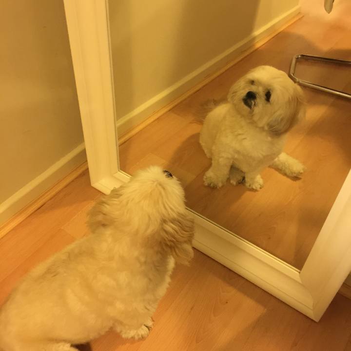 98838039 232d 49fa b8f6 7932cad8621b