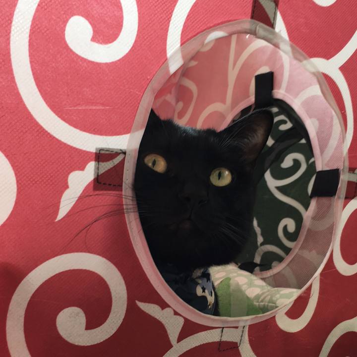 9883ef05 f4c6 4bc0 803a e68e74eaa7f4