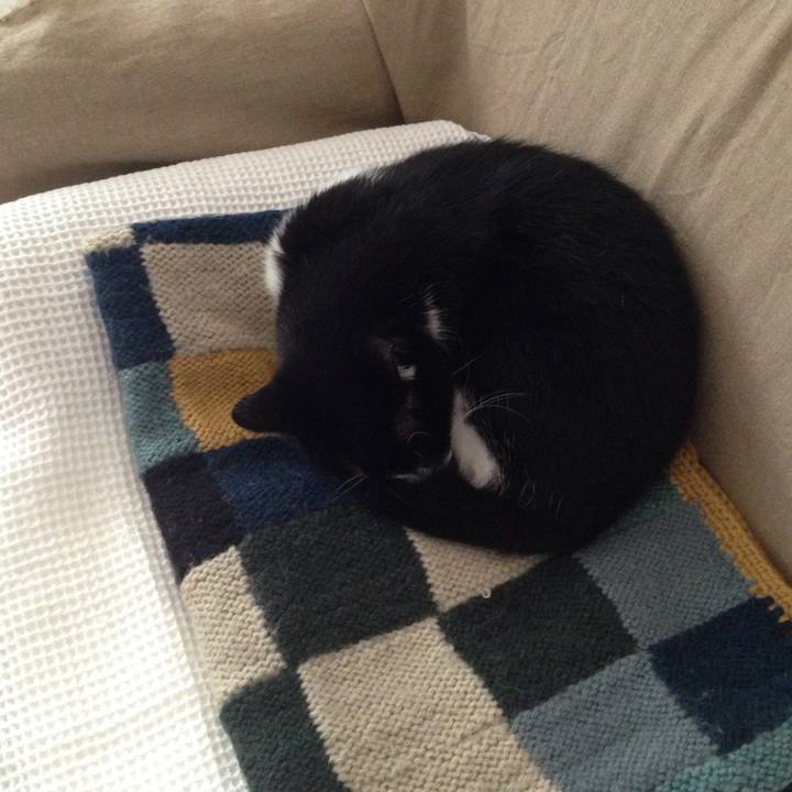 98842af0 a778 4e42 a80a fccd1151b93e