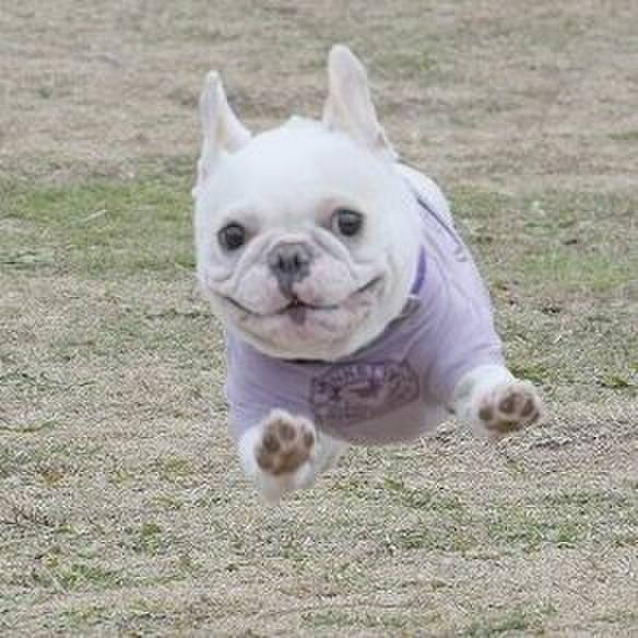 9884ab6c 38d6 4a7c a131 edab4080ca26