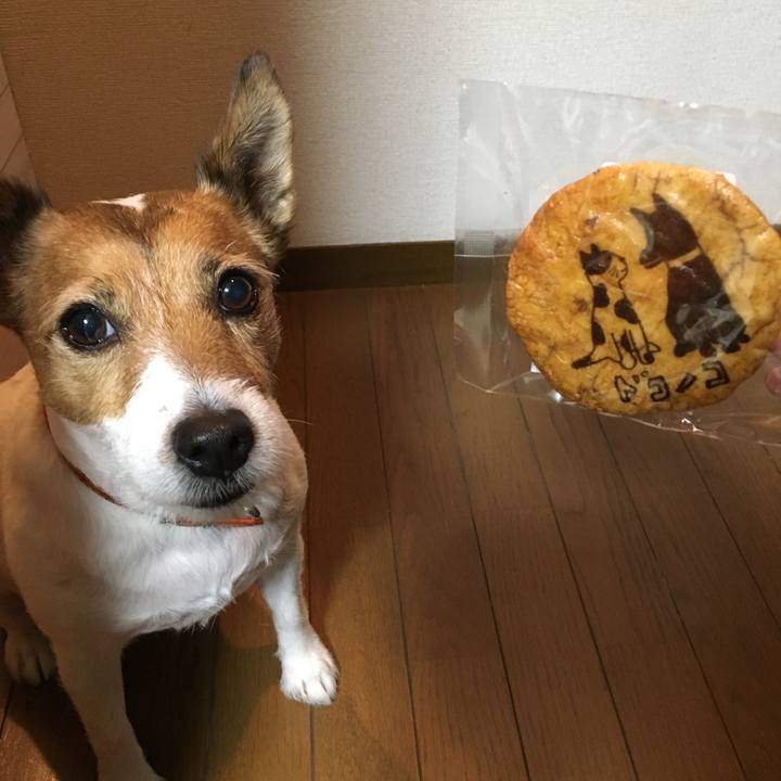 98850dbd 17d0 4376 b2dc f248ea38048e