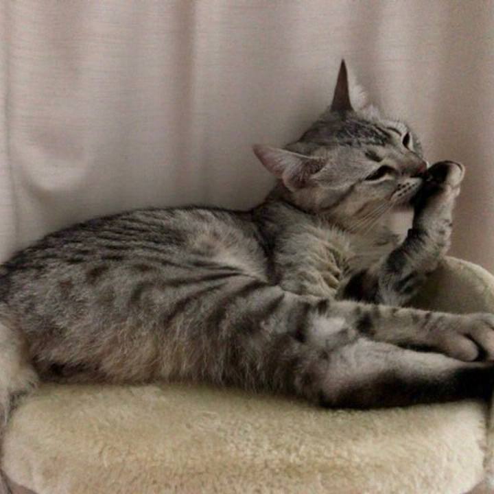 9885cbde c3f8 4a55 8072 3f6a917a98c7