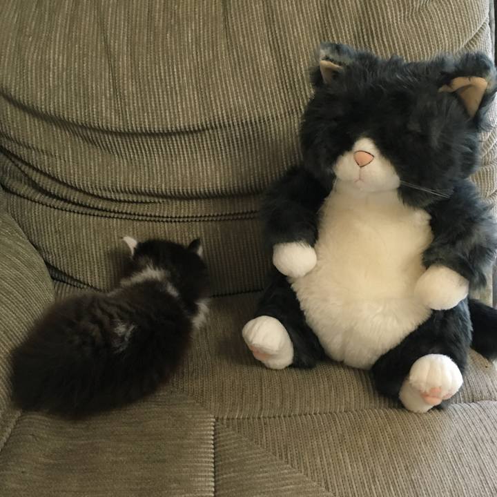 9885e35b 0377 46ec ad1b 6c0a0b9bcee2