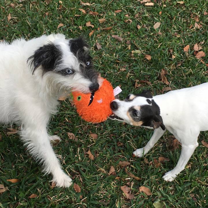 9886164f ae03 43ea 8e16 bb841b0694c4