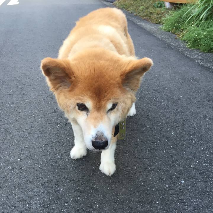 98866d0f 8766 4edc b2e4 5dacca106185