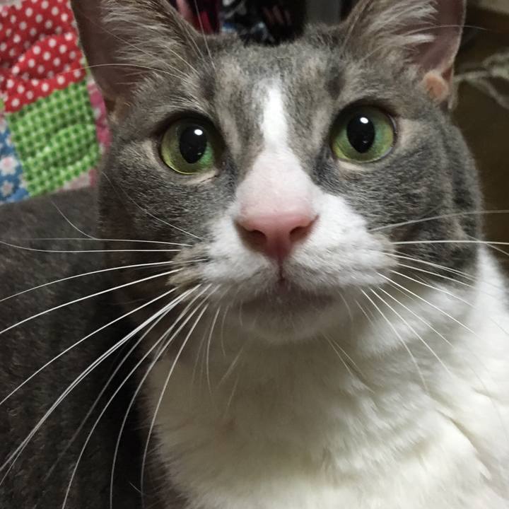 98869cda 0c44 4282 b44c dbf9d9f1ed14