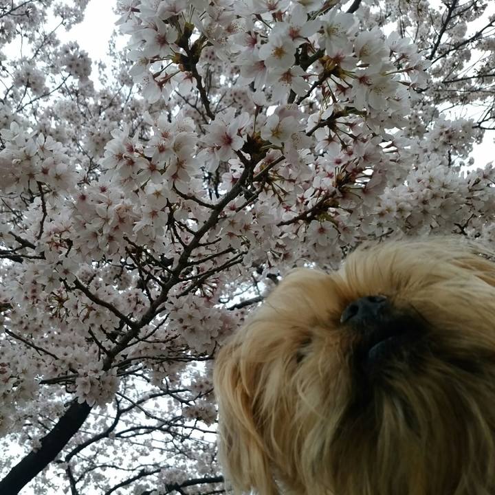 9887e2a5 9997 44bd 8f15 0f33d3866f53