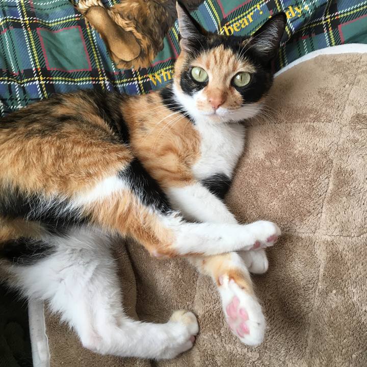 98885f2c 2a5b 4284 82b4 0e69aee92c32