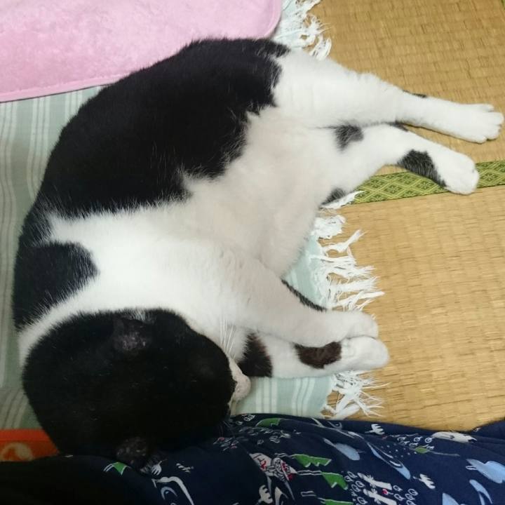 98897b4c b187 4906 b674 9d49cfd1385e