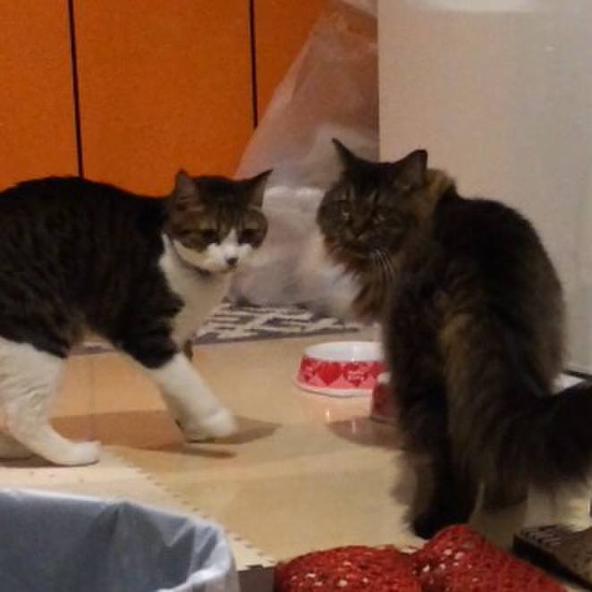 98898694 d304 47dd 9c73 8d732b5e3eea