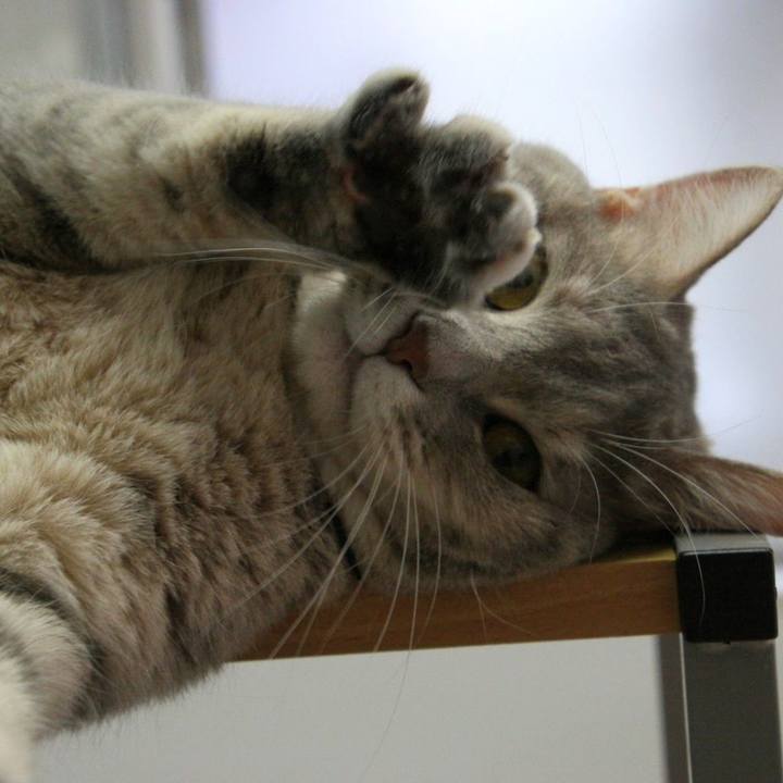 9889c0f7 102c 4809 ae3d ce7c592af655