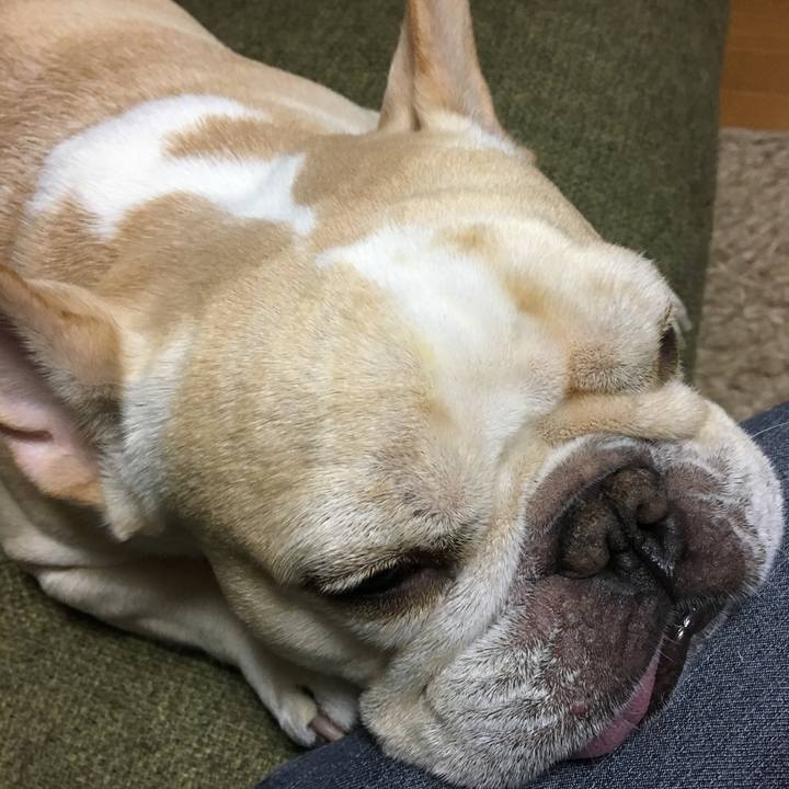 988a2871 c7b2 4323 8e60 ecb9b235d21b