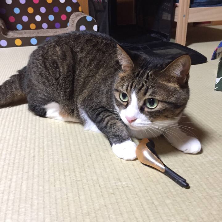 988b890e 4889 4418 a5ad 77e6dc2da9cd