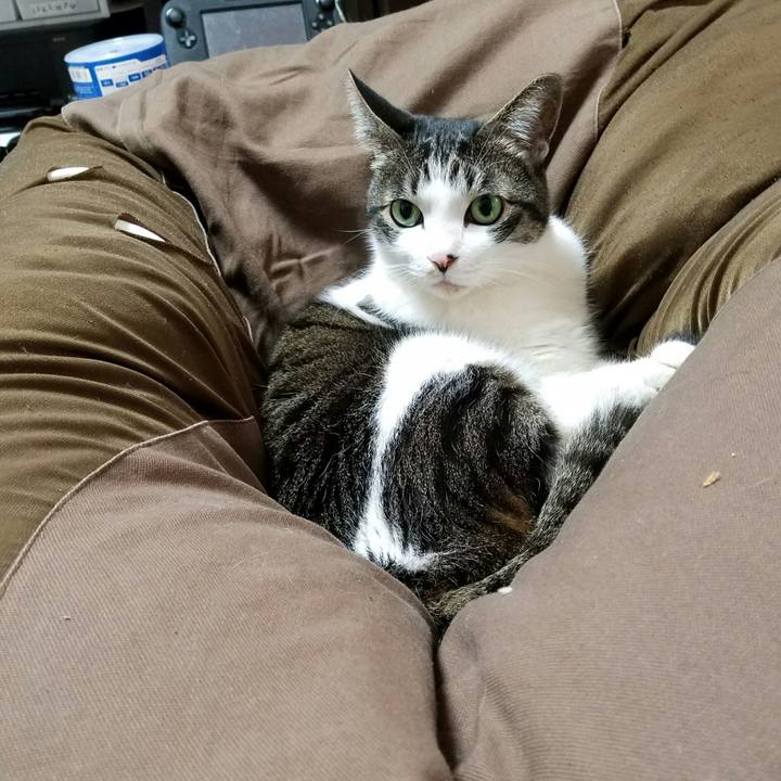 988bb332 7756 4678 bc89 7abfd233c86a