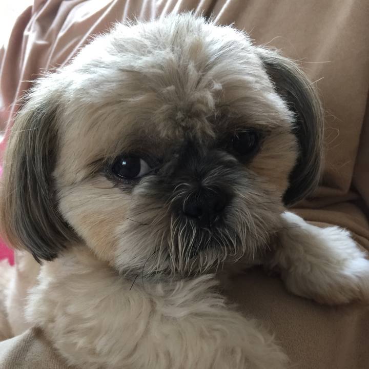 988c5045 61e8 4341 bb15 54d7aa68c757