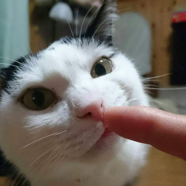 988c8960 293f 4dd2 93f0 9d8f82738a5e