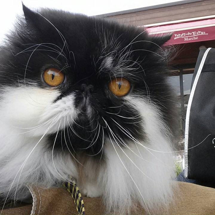 988cc759 c2b1 49e5 b957 515b5f0e08cc