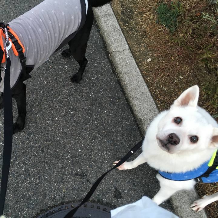 988cce1b c2b7 4a18 9235 e9f024ab3979