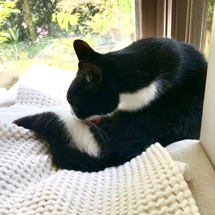 988cd11f 4d73 4511 8872 cb08380e1c33