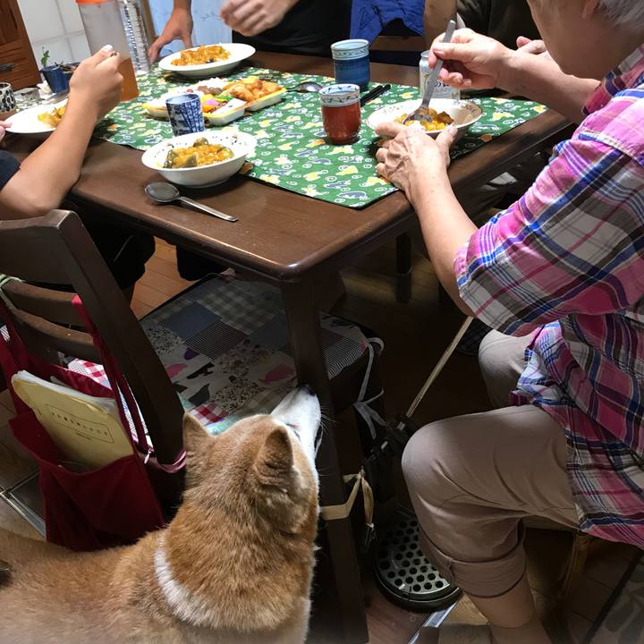 988e41fa 1168 4298 80ea c213f062833d