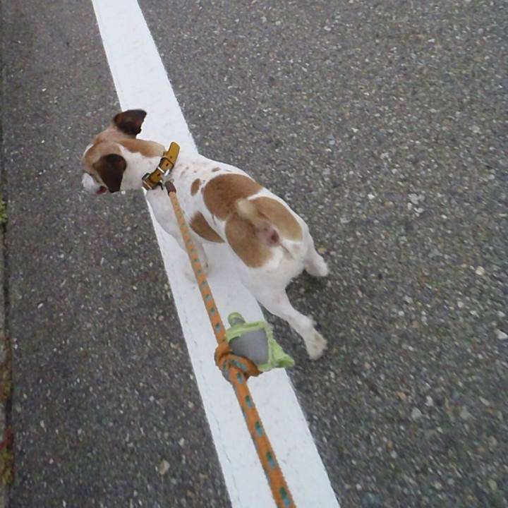 988e5b29 7ecb 4a5f 956b e26ac9eed61f