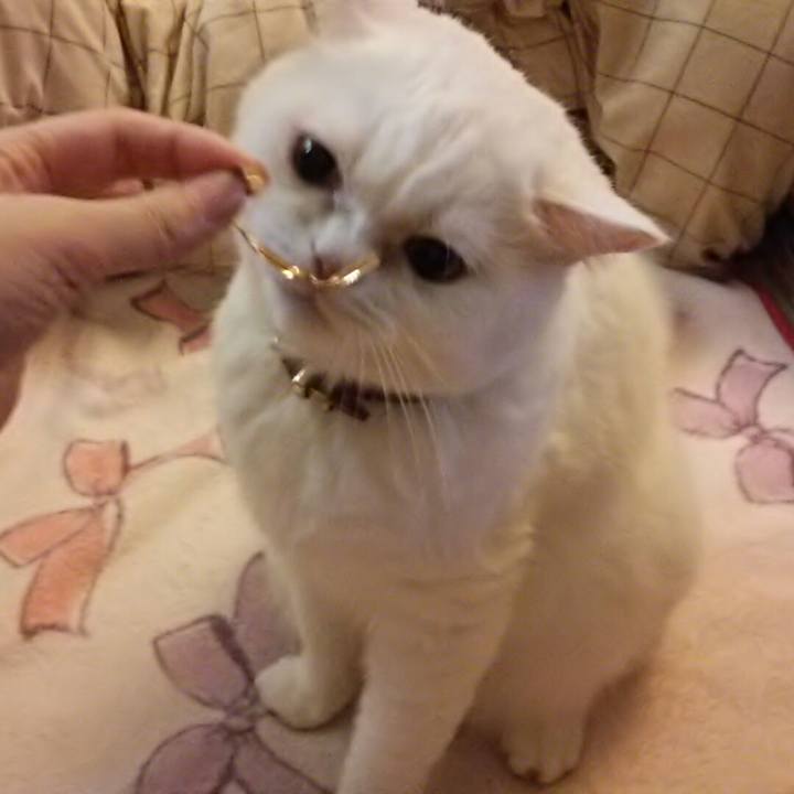 988e7923 0e5f 4dcb b0a6 52a5ae50ac3c