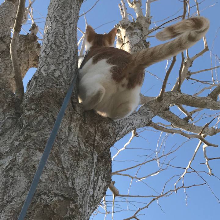 988eb874 ab96 4305 acd9 7bef015bc4c8