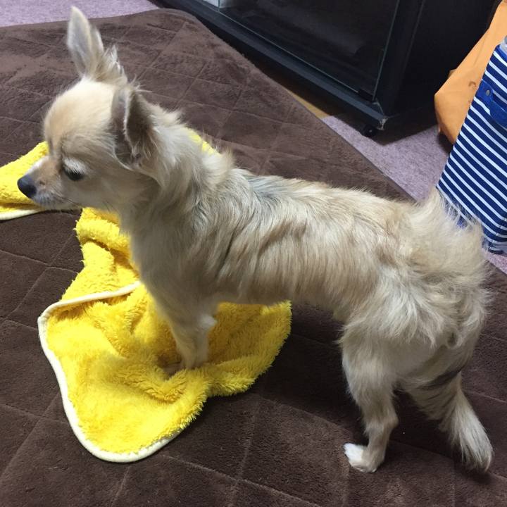 988ec336 0f3a 4578 9661 4adc9a742b3a