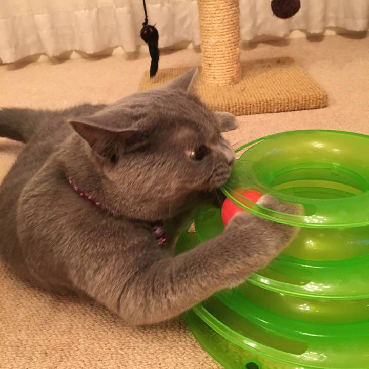 988f2e8d da20 4332 8990 bc26269b3cb1