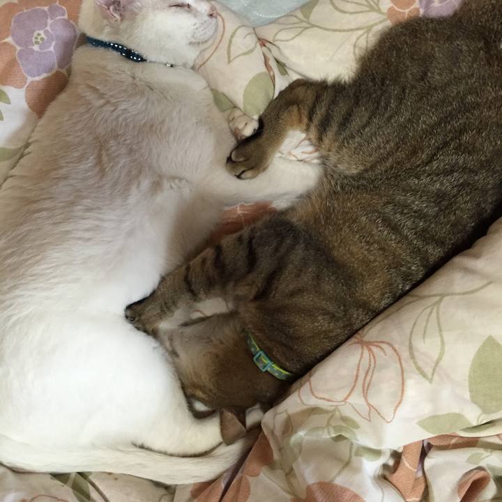 988f3035 664f 475f 95ef 179cd81b776f