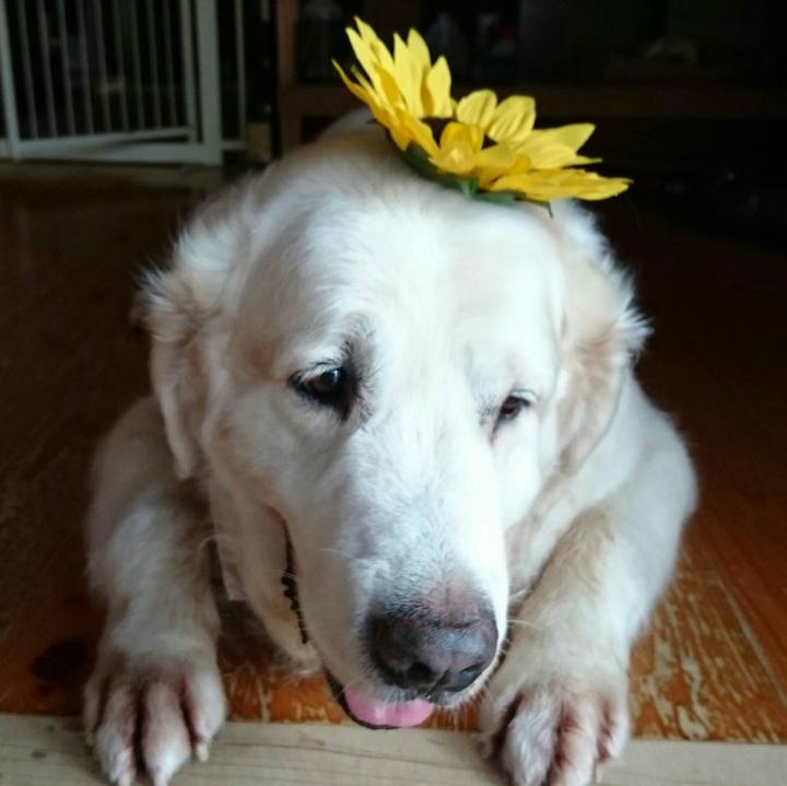 988fa660 2bb9 4412 a44e 737a039d9229