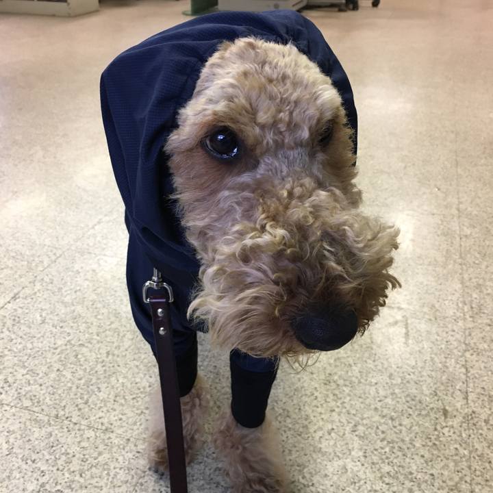 988fa717 f8cf 4806 aab3 78c238595139