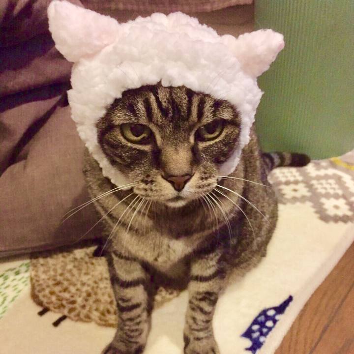 98900095 bd50 4894 b002 4687de82d606