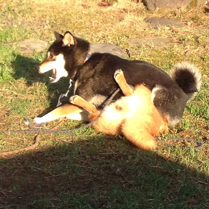 98901af2 df5e 4682 ac7f 5df0dd5145e4