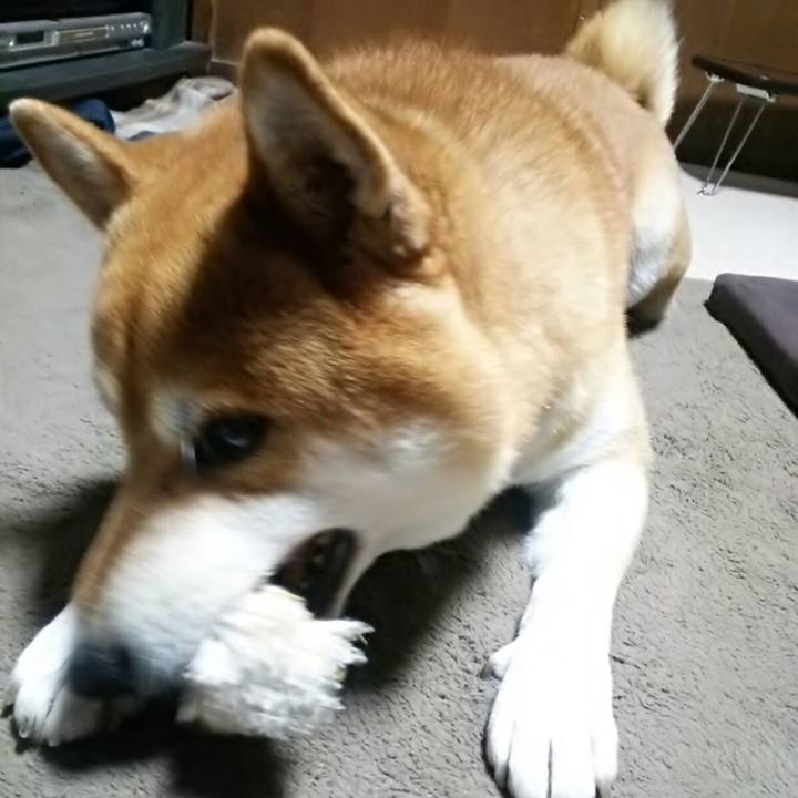 98909673 e34d 48a5 873b 0cc44186b4eb