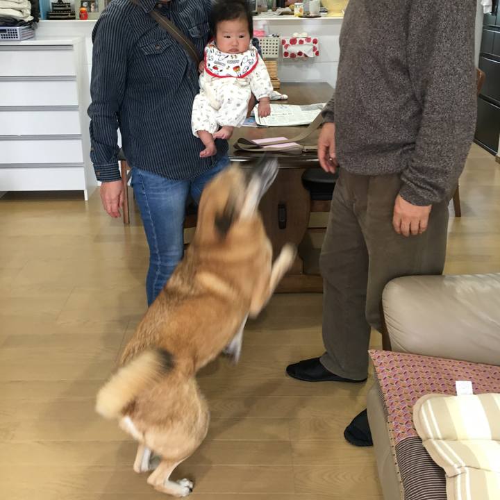 9890c9a6 12e3 4feb 9f99 a8e7e69f2beb