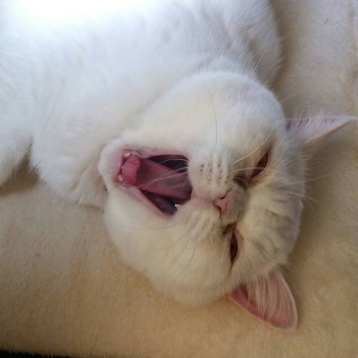 989151dd 2b78 4fce bf91 c288b11a1a01