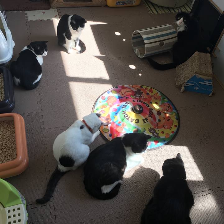 989191bc cbd4 4f11 b96a 275002ff353a