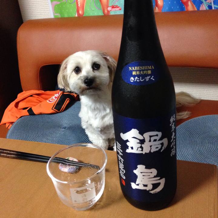 989192b0 deca 4dae ab2b 1f4f981a6d4e