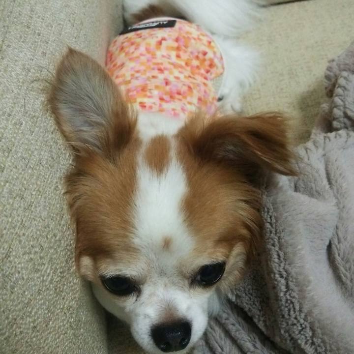 98924a13 9e07 45ea a58c 2dd649873b87