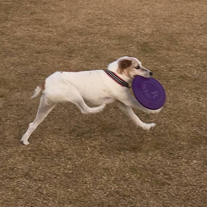 9892fe46 66b5 4b27 8e19 71c5ce1695dd