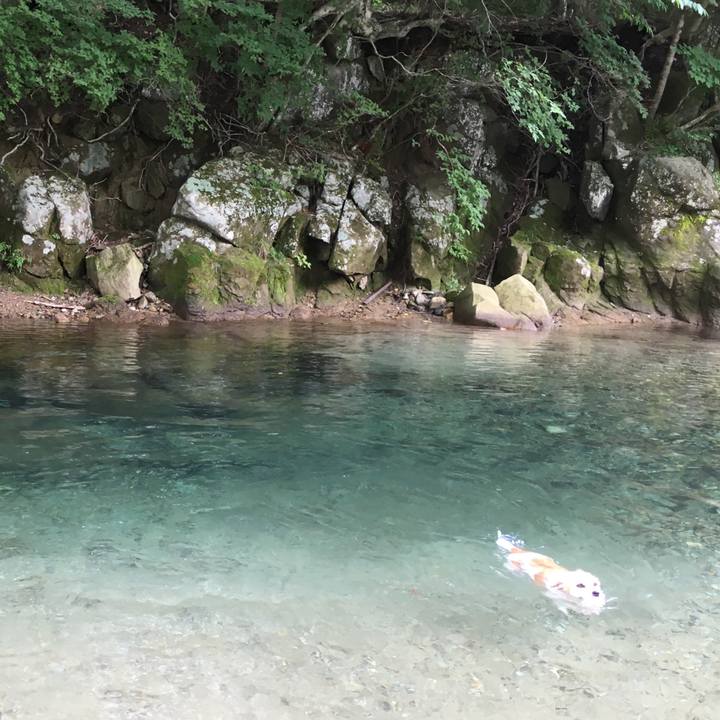 98931f5d 157a 49d0 969a 1d03805c5c7a