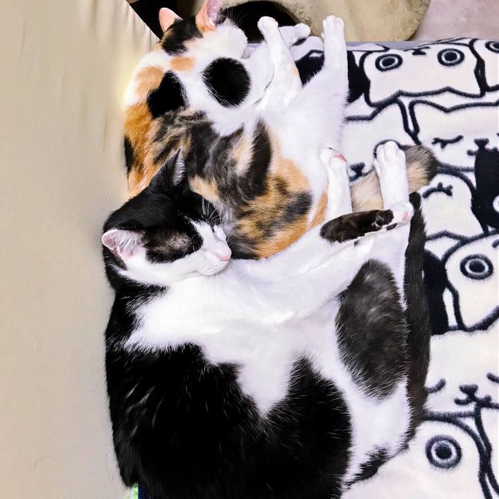 9893517d b238 4de6 b702 79ee62c1fc05