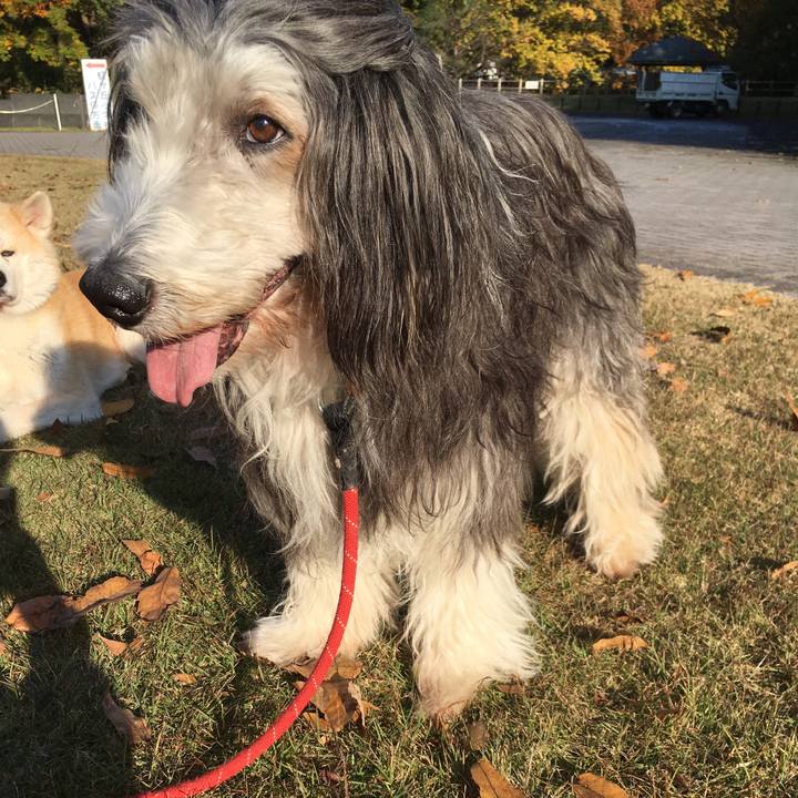 98943f04 6c15 499e a4fa b8b1aa6316a8