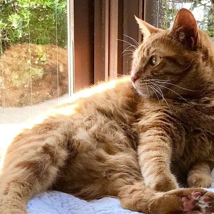 9894bee6 40a2 4017 915f a63cb4eb37f0