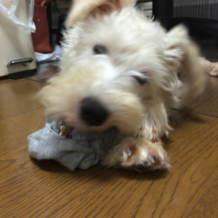 9895bac4 db2b 43ae a3c4 5cbcbecaafe3