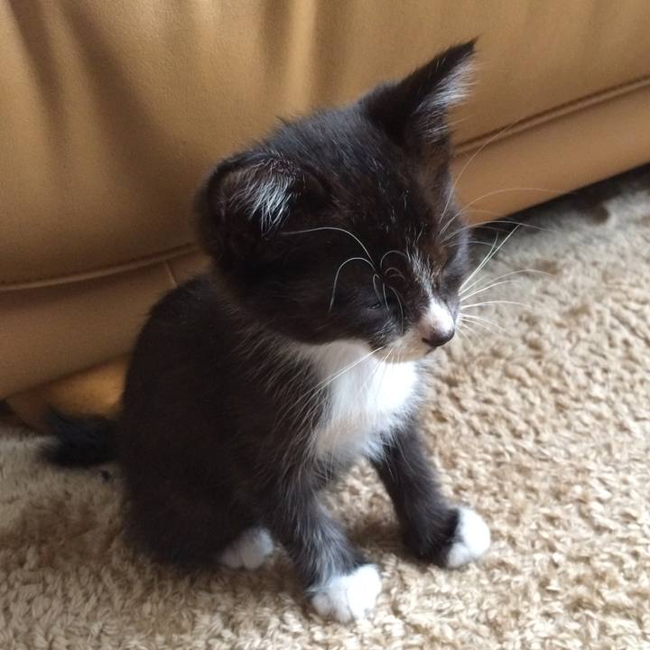 9895baf6 56cb 46c0 9b08 518aa19b7003